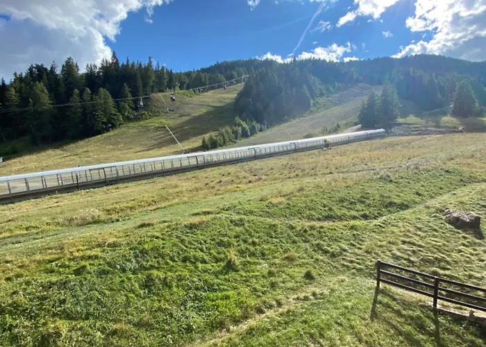 Bartavelle Pied Des Pistes Praloup